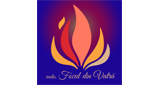 Logo of Focul din Vatră